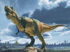 Най-голямото в света находище на фосили на динозаври откриха в Китай